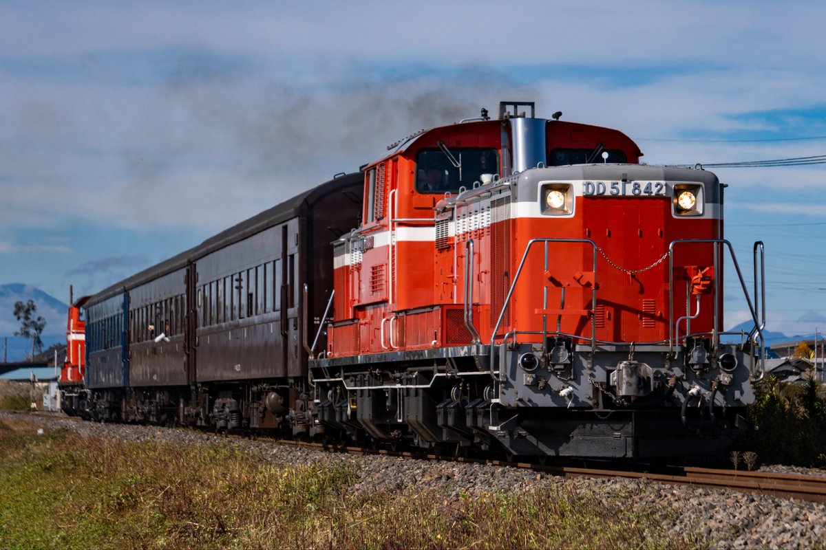 たまご (@tamago2499) / Posts / X