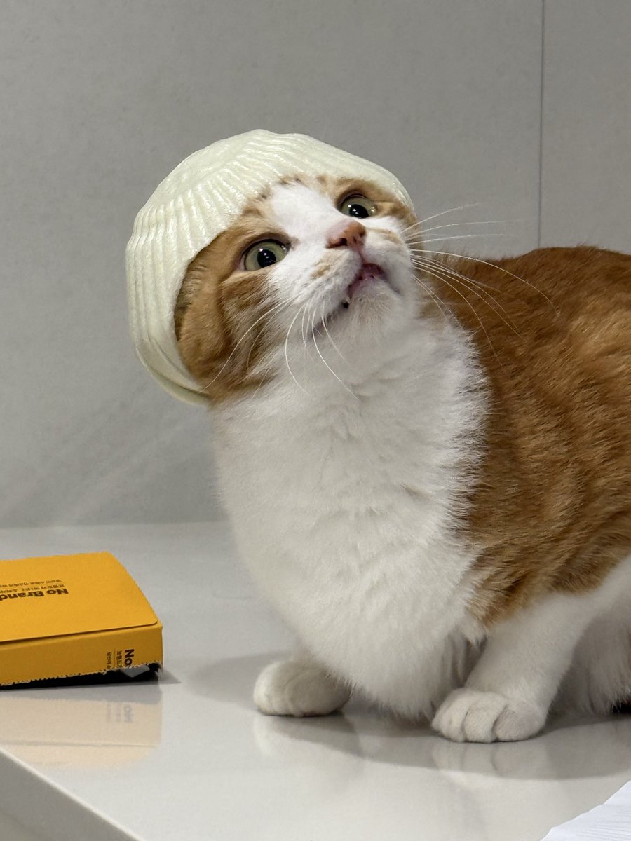 with_mgrk's tweet image. 치워라