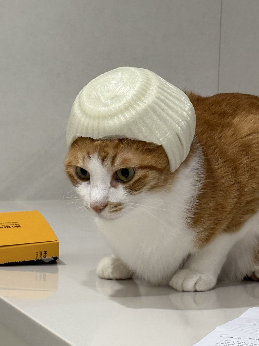 with_mgrk's tweet image. 치워라