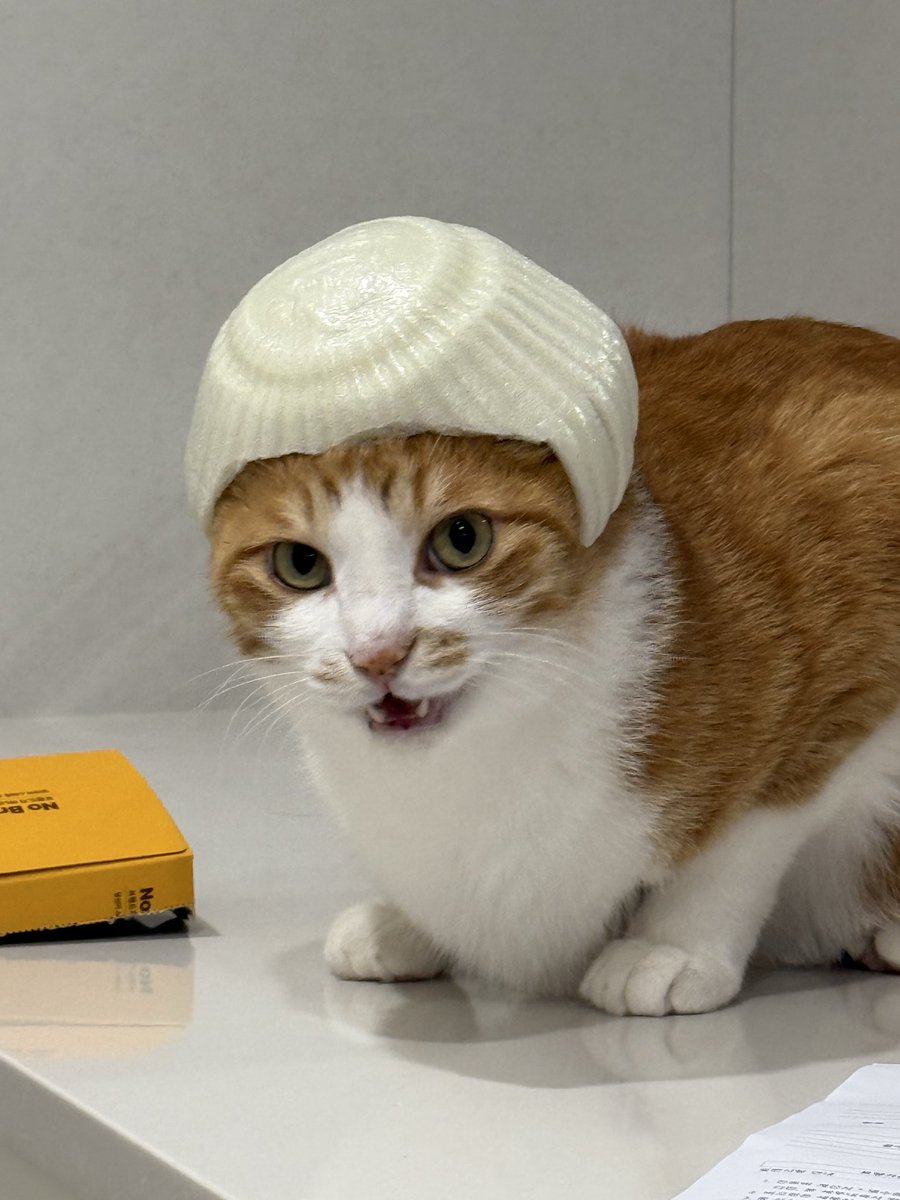 with_mgrk's tweet image. 치워라