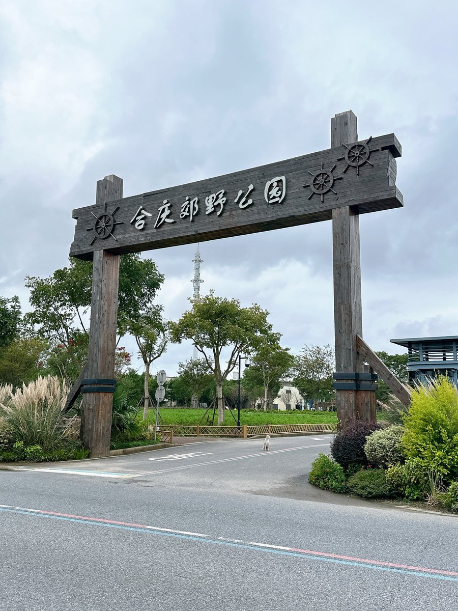 上海最烂的公园，没有之一。X的朋友们必须避雷。#合庆郊野公园