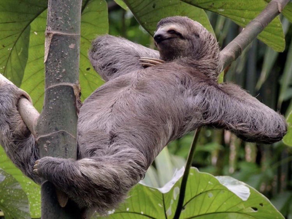 Gadet3's tweet image. من ما كنا بنشرب الموية من حنفيات 🚰🚰 فى المدارس كنت حاسس مستقبلنا ح يكون خرا ...