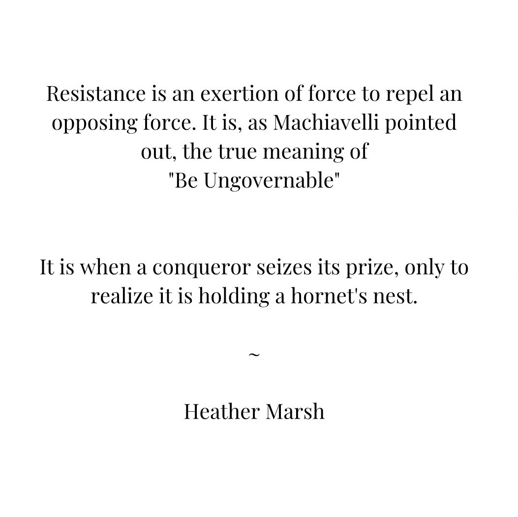 “It is when a conqueror seizes its prize, only to
realize it is holding a hornet's nest.” — Heather Marsh, How to Dismantle a Dictatorship.

#3E #EndImpunity #EndAutogenocide #EndOligarchy #NoKings