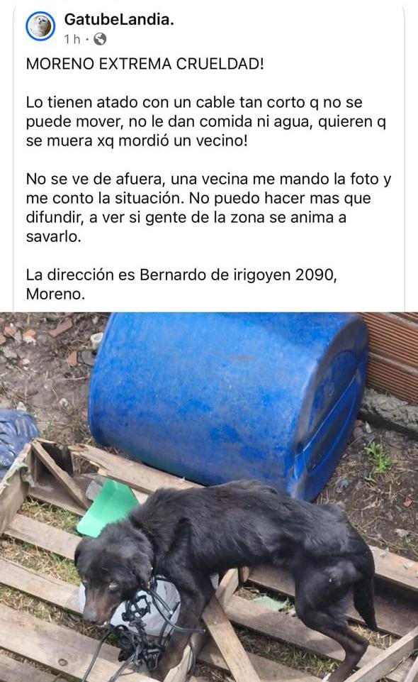 Rt
Ayuda urgente