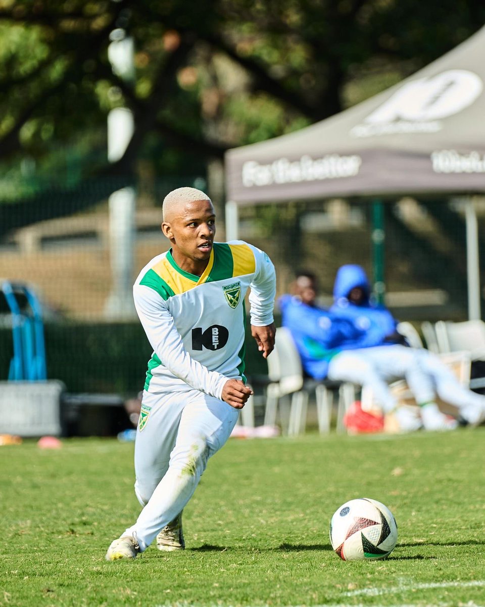 goldenarrowsfc1's tweet image. CALL-UP🇿🇦
Congratulations to our teenage sensation Andiswa Booysen who got selected for the FIFA U17 World Cup to be held in Qatar from 3 November-27 November
BHUBESI🦁
#footballlovers #worldcup #goldenarrows #upbackthroughpodcast #greenandgold