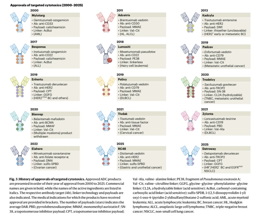 Persimmon Tree Investments (@persimmonti) on Twitter photo $XBI
A Visual History of Approved ADCs, courtesy @nature cancer: $XBI
A Visual History of Approved ADCs, courtesy @nature cancer: