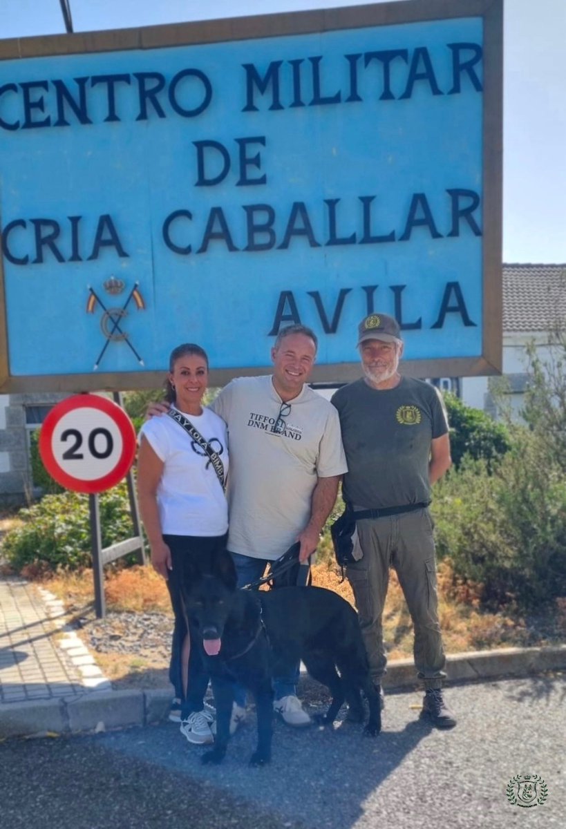 BENEMERITVM (@benemeritvm) on Twitter photo Tras 8 años de lealtad y entrega, 𝐑𝐮𝐭𝐚 <a href="/EjercitoTierra/">Ejército de Tierra 🇪🇸</a> ya disfruta de su merecido pase a reserva. Gracias a su increíble familia que ha decidido acompañarla y compartir una nueva vida junto a ella. 𐦐 #FuerzasArmadas #Benemeritvm Tras 8 años de lealtad y entrega, 𝐑𝐮𝐭𝐚 <a href="/EjercitoTierra/">Ejército de Tierra 🇪🇸</a> ya disfruta de su merecido pase a reserva. Gracias a su increíble familia que ha decidido acompañarla y compartir una nueva vida junto a ella. 𐦐 #FuerzasArmadas #Benemeritvm