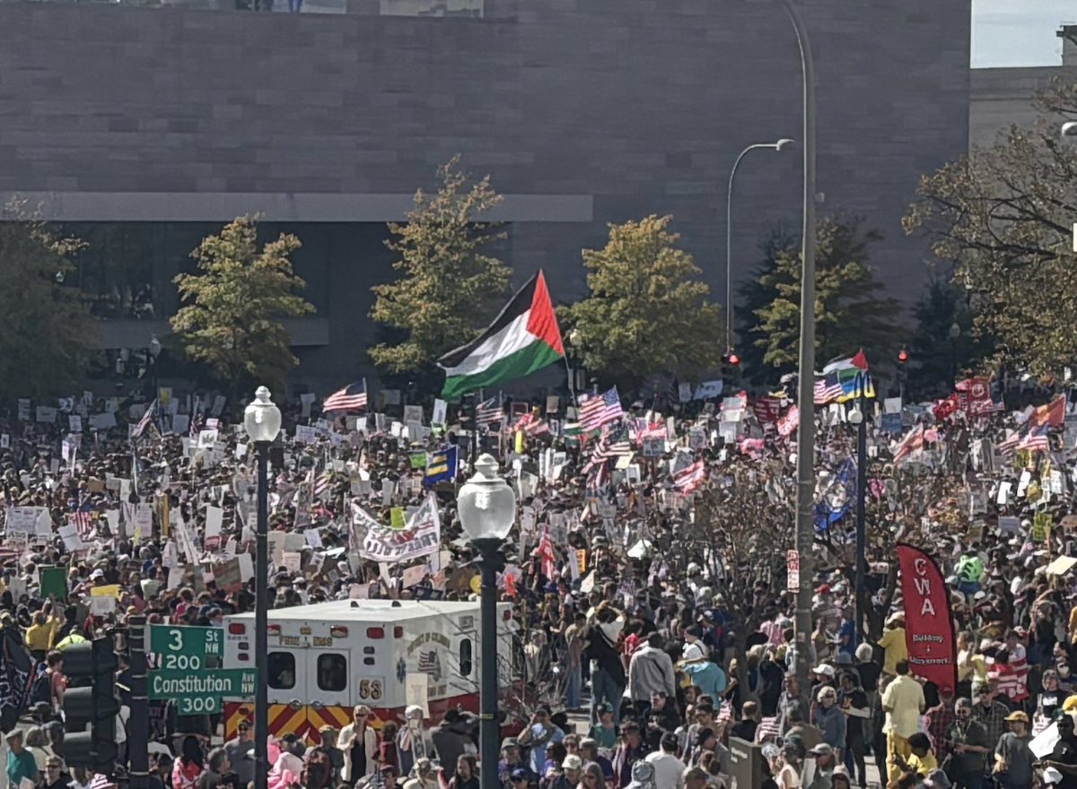 🚨 NOW: Giant Palestinian Flag Hangs over No Kings rally in DC