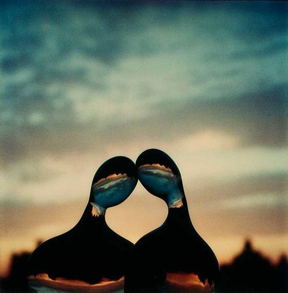 Ivonne D... (@idurok) on Twitter photo ·
·
  .º.  André Kertész  .º.
               🤍🤍
           #polaroid 
   #PhotographyIsArt 
·
· ·
·
  .º.  André Kertész  .º.
               🤍🤍
           #polaroid 
   #PhotographyIsArt 
·
·