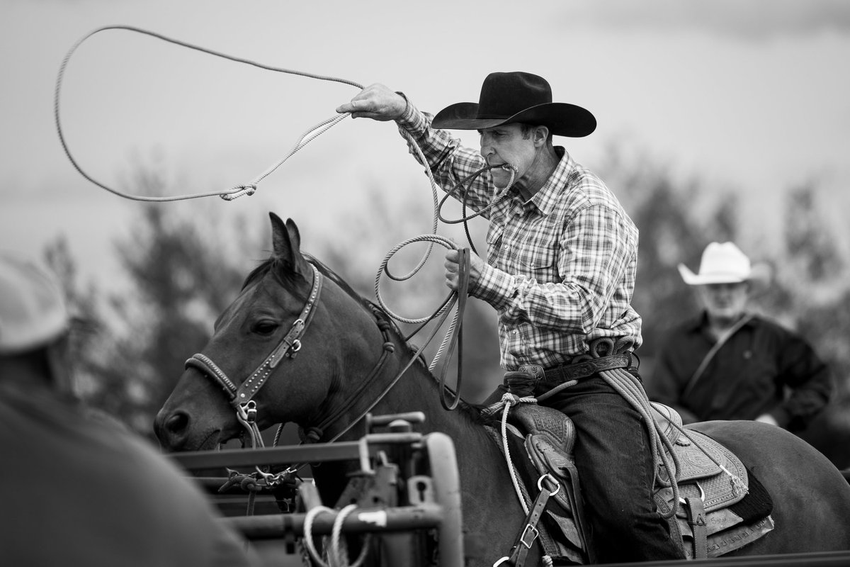 "Seize the moment, because one silly act can create a legacy, and also birth a legend."

~ Michael Bassey Johnson

Canadian Rodeo Hall of Fame Saddle Bronc Rider Rod Warren helping out in the timed events at the Crocus Hill Stampede in Valleyview, Alberta.

August 9, 2025

200mm