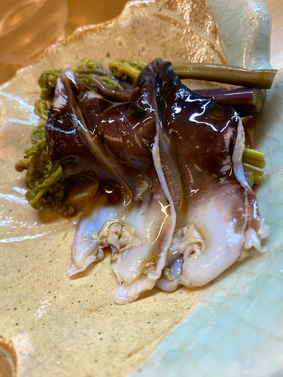 飯島海 tweet media