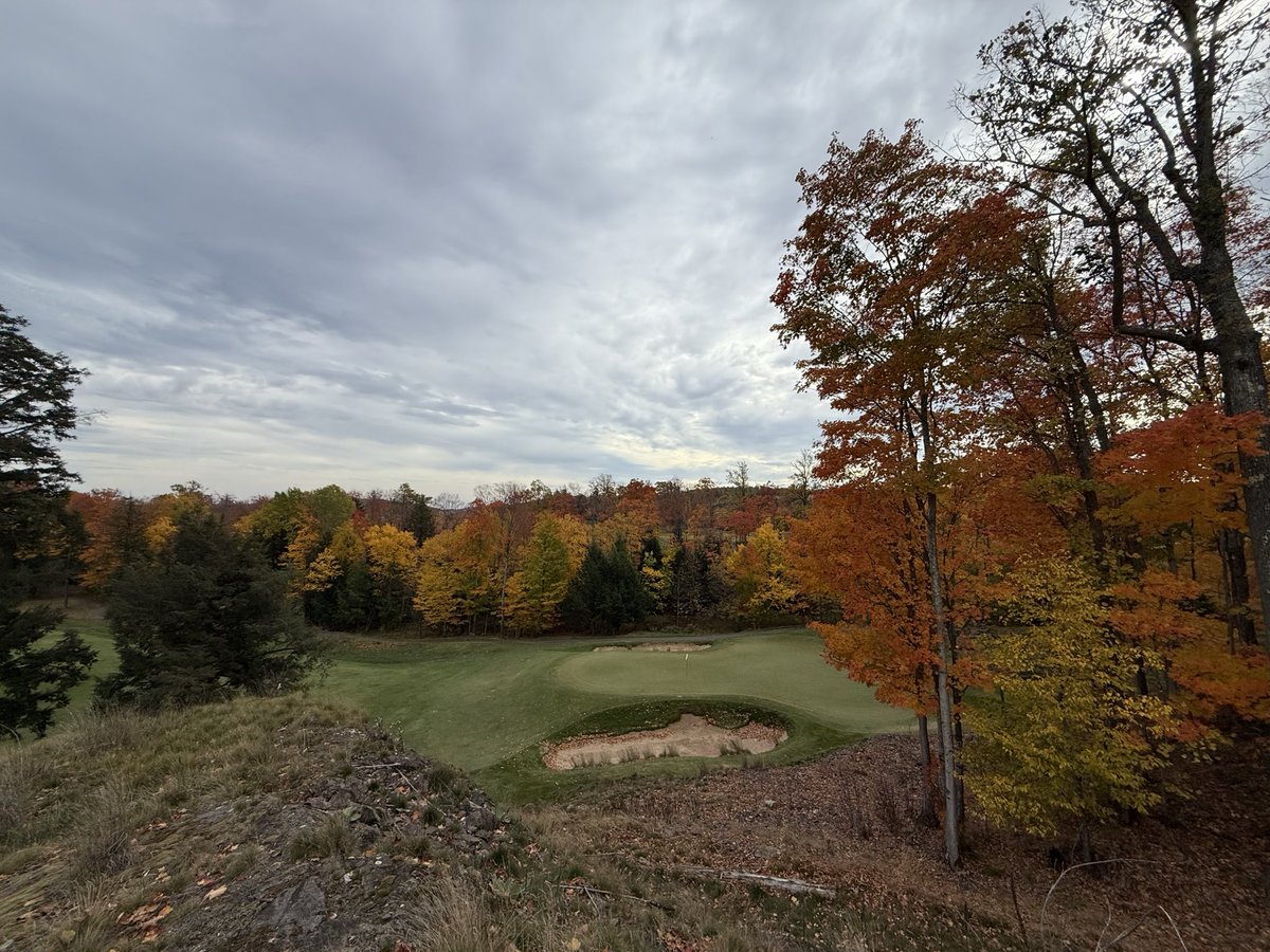 Jon Heise tweet media