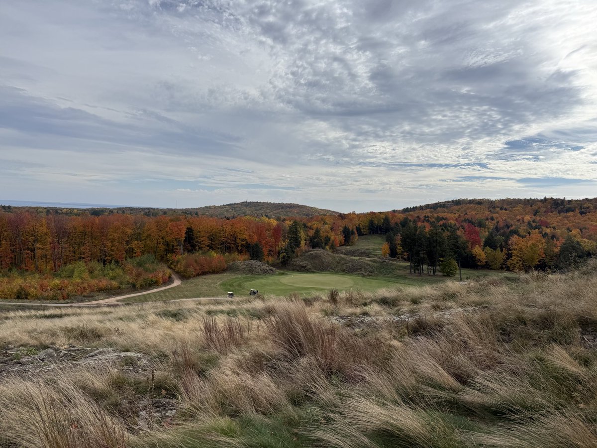 Jon Heise tweet media