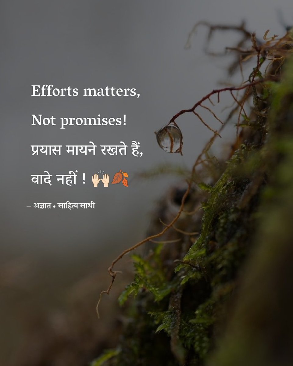 प्रयास मायने रखते हैं, वादे नहीं !