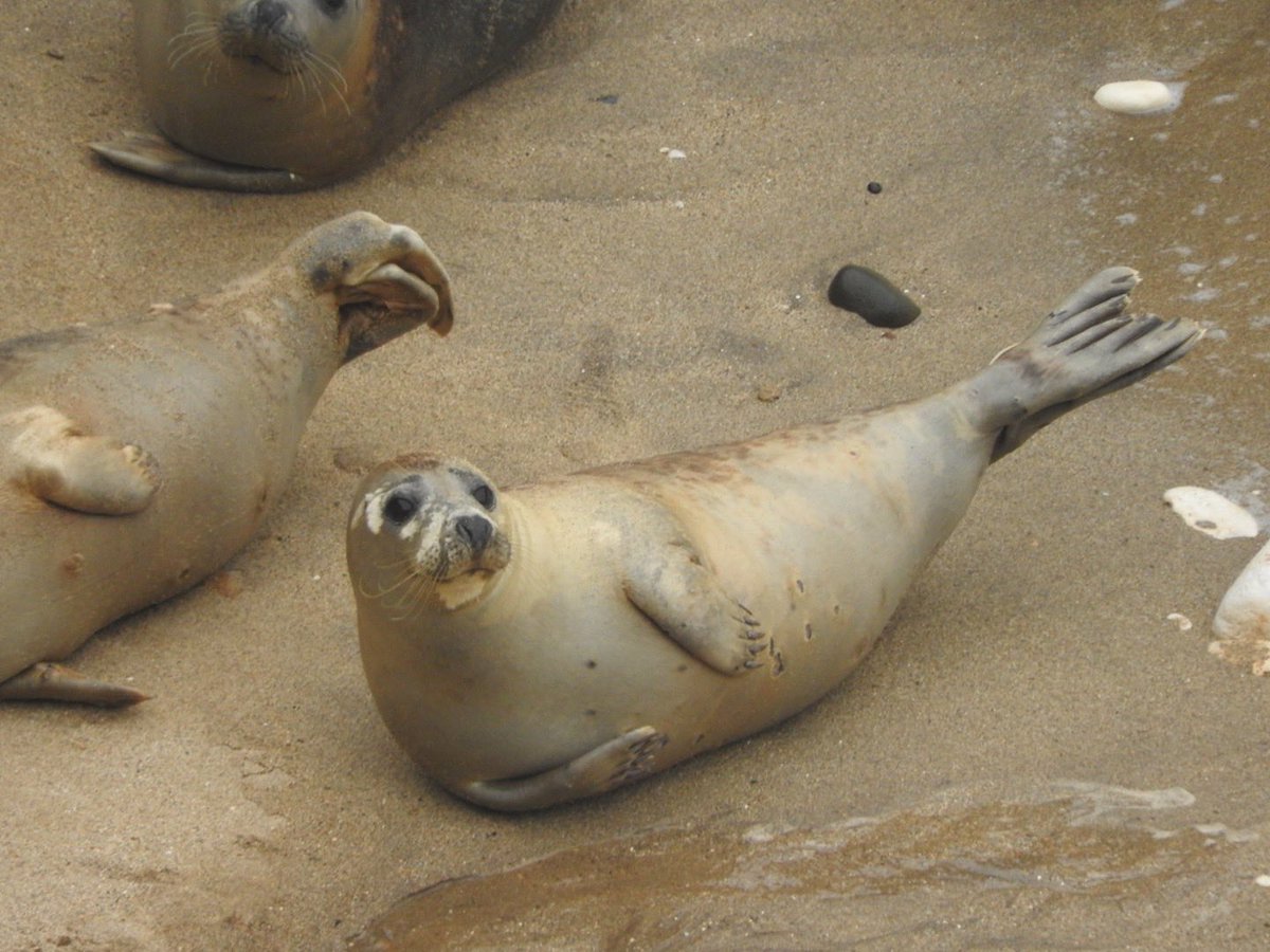 Another nice little wander this afternoon - am sure I said hello to ‘Steve James’ by the lighthouse