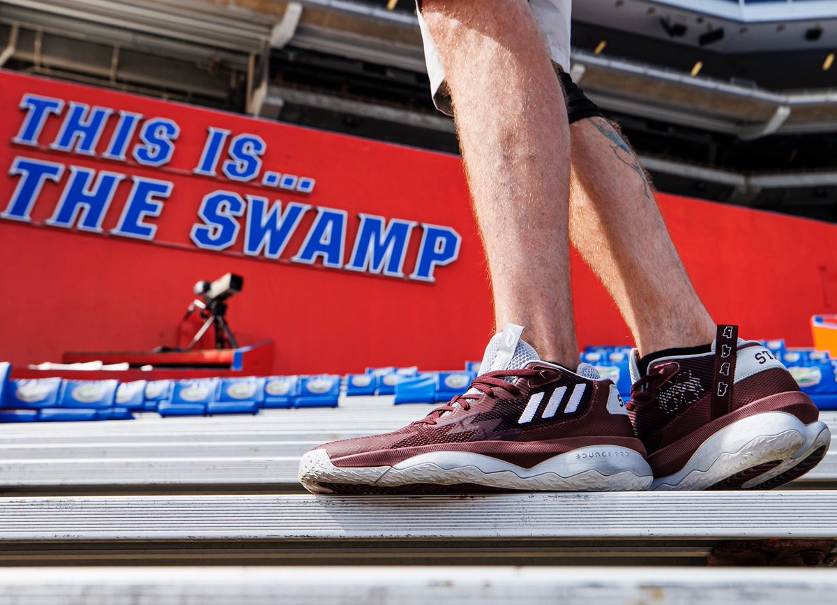 Stepping into the swamp