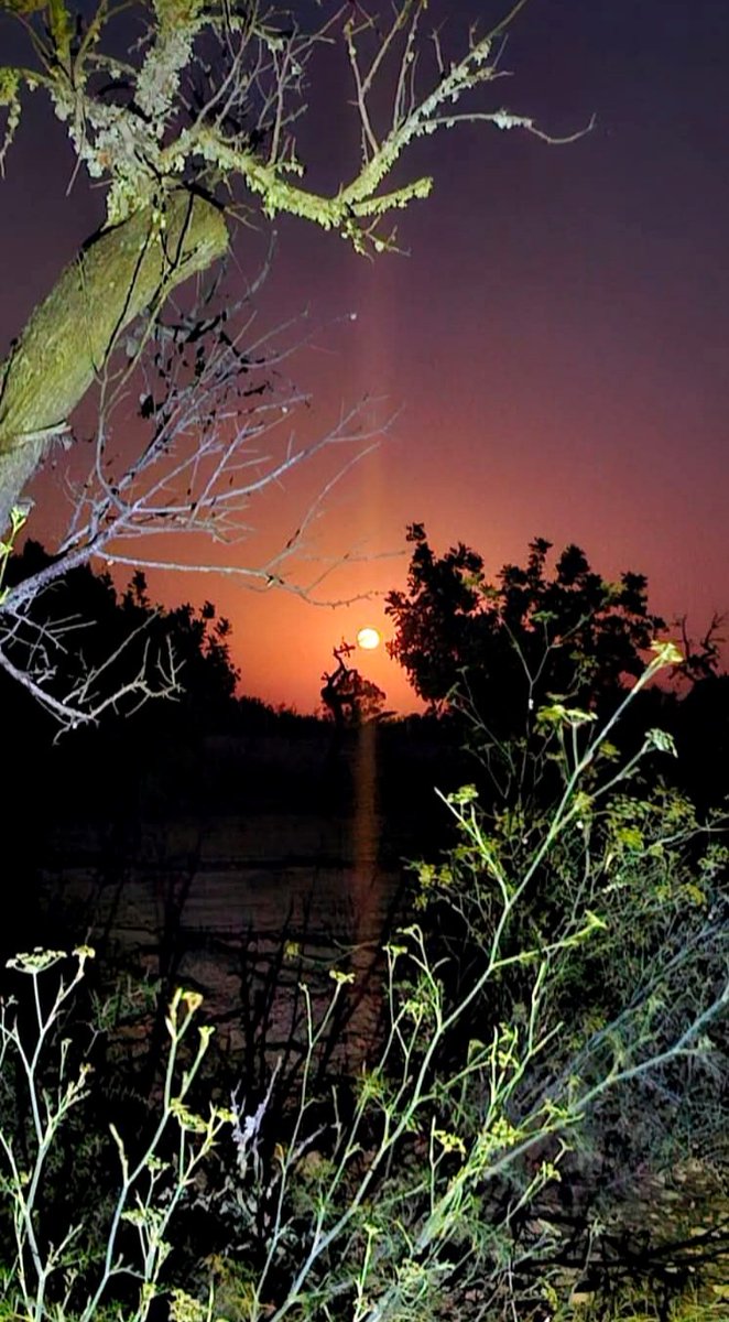 Lovely evening, gifted by my poet friend -