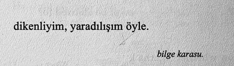 𝖔𝖟𝖞𝖒𝖆𝖓𝖉𝖎𝖆𝖘 (@sonituspluviae) on Twitter photo 