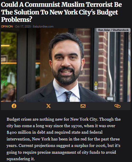 WhyThHellNot's tweet image. It&apos;s time we ask ourselves the obvious question: Is a far-left communist Muslim terrorist the answer to managing the city&apos;s money properly?

babylonbee.com/news/could-a-c…