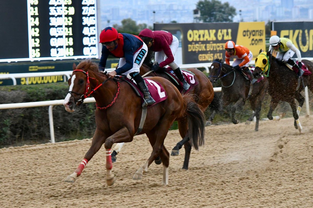 G1 Ankara Kalesi koşusunda atımız FLEXIMAN’e tekrardan jokeyimiz MEHMET KAYA ile katılacağız. <a href="/JokeyMehmetKaya/">Jokey Mehmet KAYA</a> 
<a href="/yalcingonul33/">Yalçın Gönül</a> 
<a href="/GonulStud/">Gönül Ekürisi</a> 
<a href="/OrhunMikail/">Mikail Orhun</a> 
<a href="/yigithangonul/">Yigithan Gonul</a>