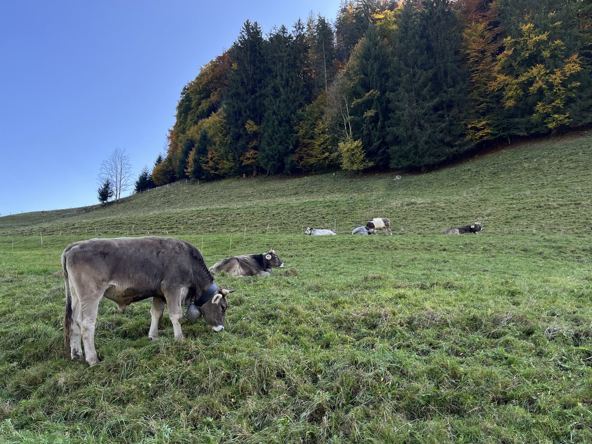 celine (@ttrainspottlng) on Twitter photo 