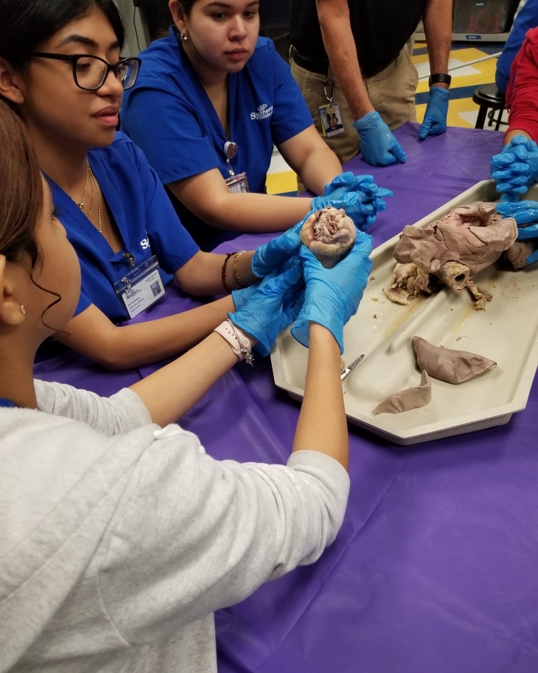 MySouthernTech's tweet image. Our students don’t just learn—they do! 💪
Check out our labs where you’ll get real-world, hands-on training that prepares you for the workforce.
🎯 Learn by doing. Graduate career-ready.
#SouthernTechCollege #HandsOnLearning #CareerFocused