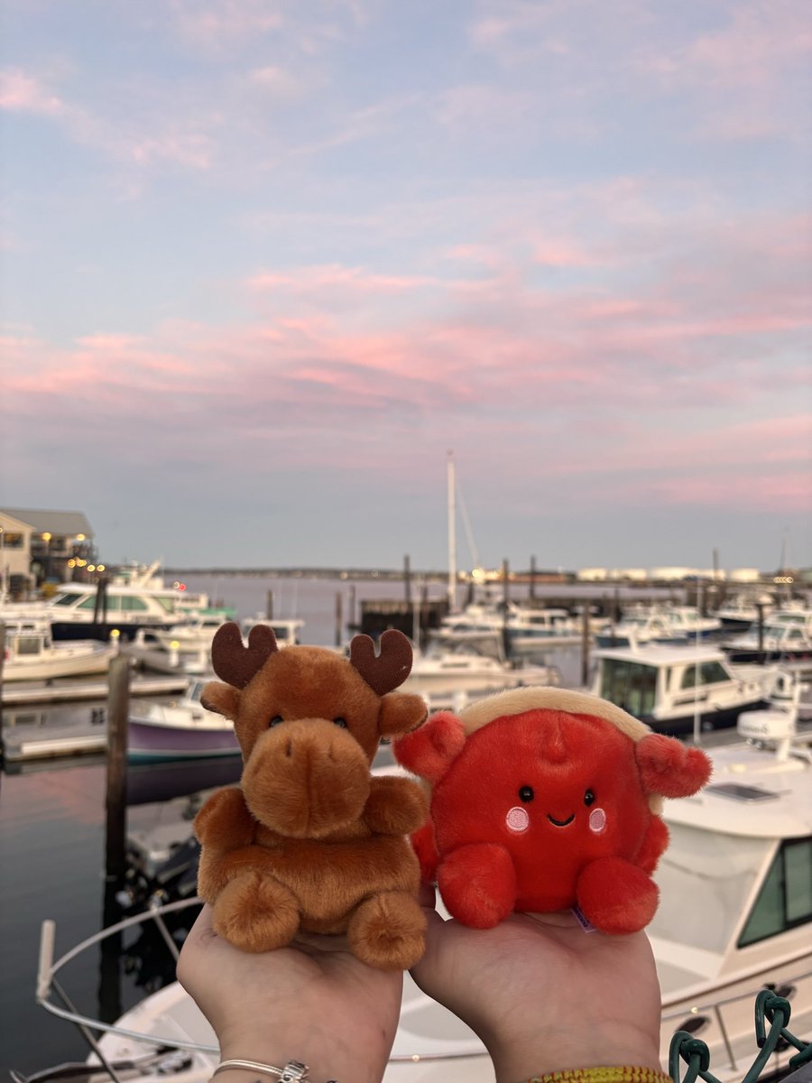 sierra ☆ tweet media