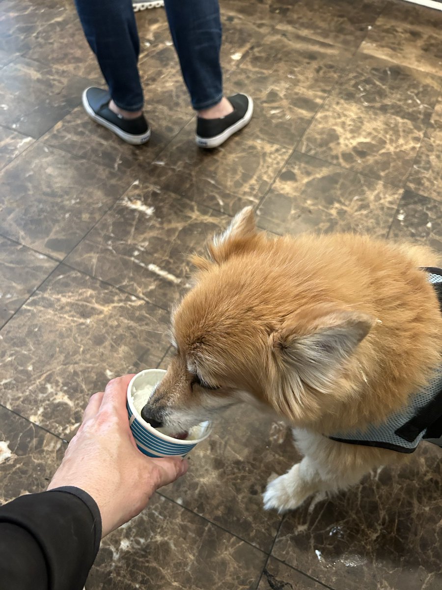 Scott Landis (@scottalandis) on Twitter photo 