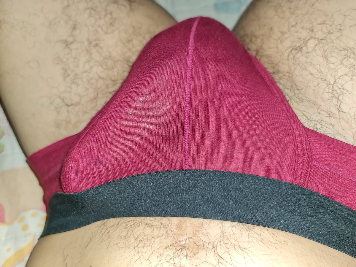 Bear house tweet media