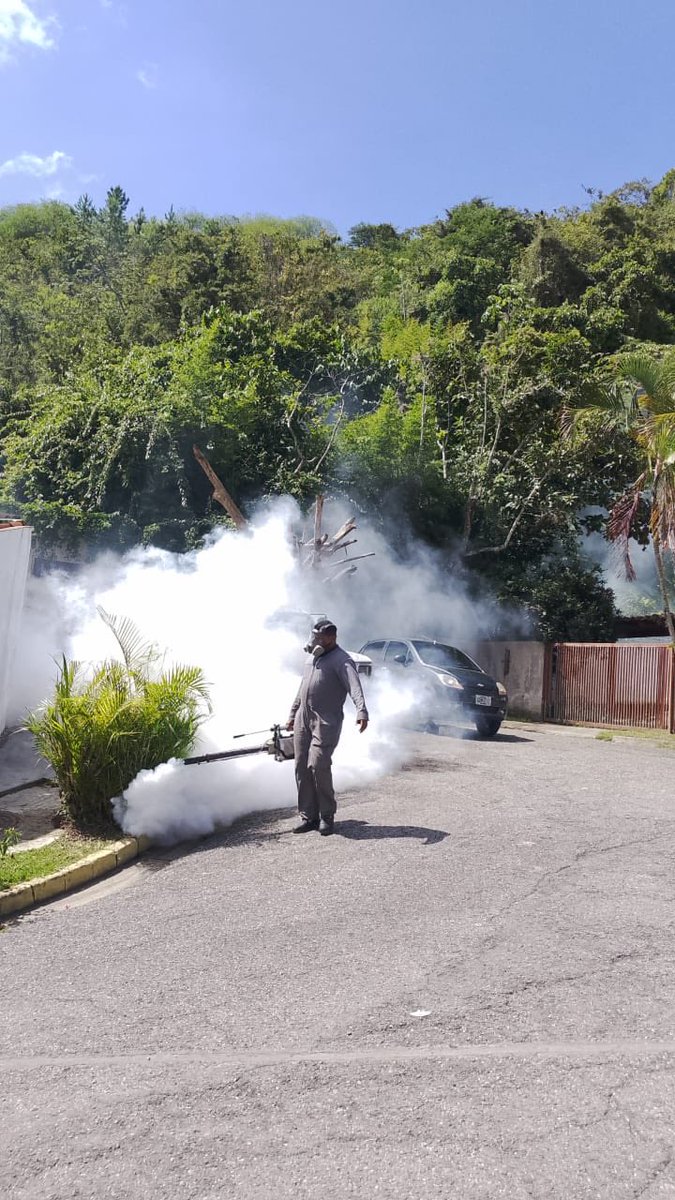 ¡Feliz día Baruteños!🍃

Nuestro equipo de #Fumigación🦟 se encuentra trabajando en el plan preventivo en:

📍Urb. #PiedraAzul

Si conoces algún caso de dengue en tu zona, puedes reportarlo a través de: epidemiologiabaruta@gmail.com