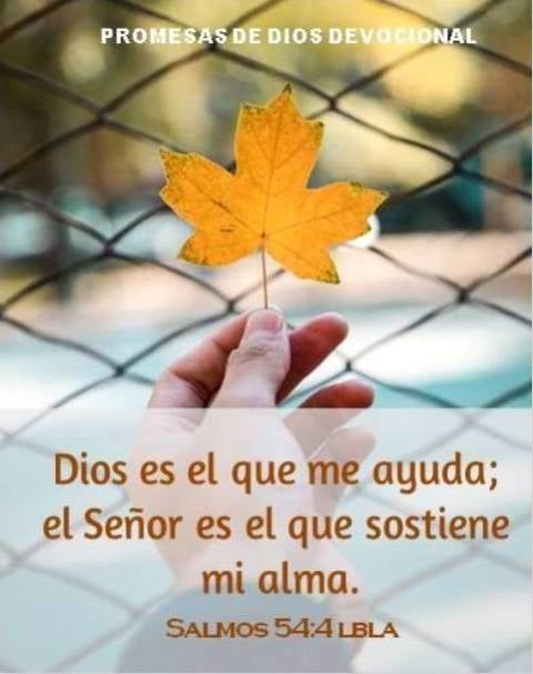 Pero Dios es mi socorro; el Señor es quien me sostiene.
Salmos 54:4
Feliz Viernes, gracias a Dios que su misericordia es con nosotros, que su mano poderosa nos sostenga hoy. Amen🍁