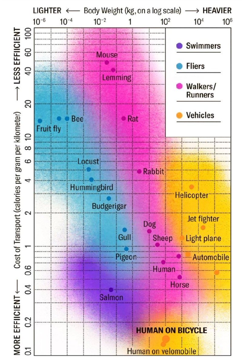 I love this coloured version of the famous chart showing that cycling is an outrageously energy efficient way to move mass around.