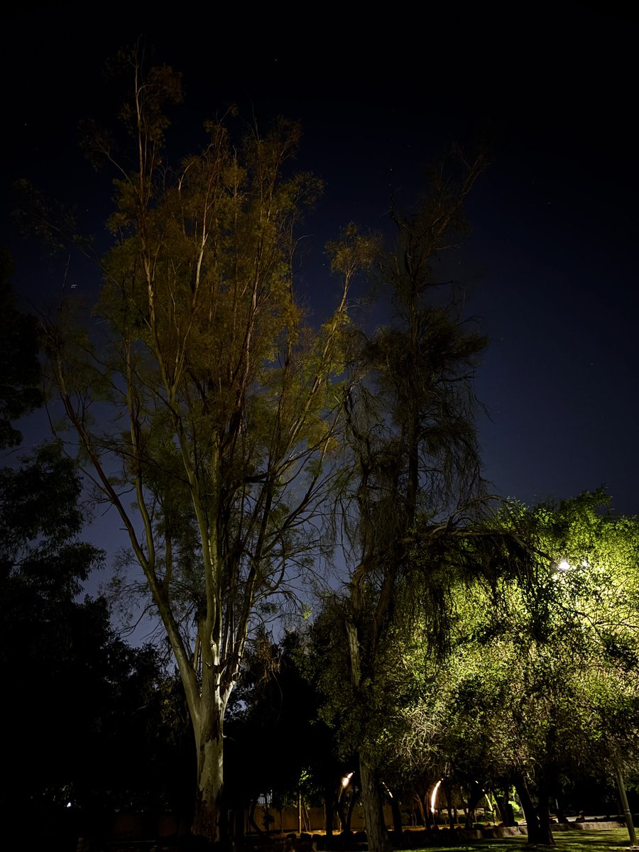 IXII_29's tweet image. 16:10