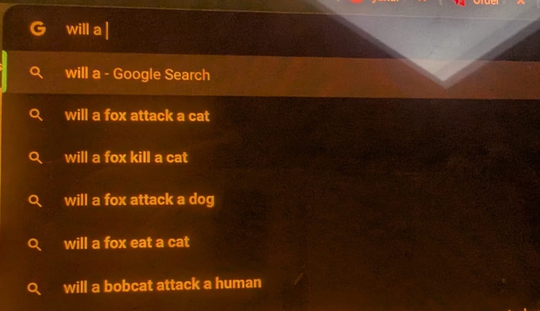 TVachaW's tweet image. My partner and I both tried typing “will a ” (with a space after “a”) into Google.
Almost all the autocomplete suggestions were about whether foxes would eat or attack various other animals.
Is this the same for everyone or have we been profiled as a household with a particular…