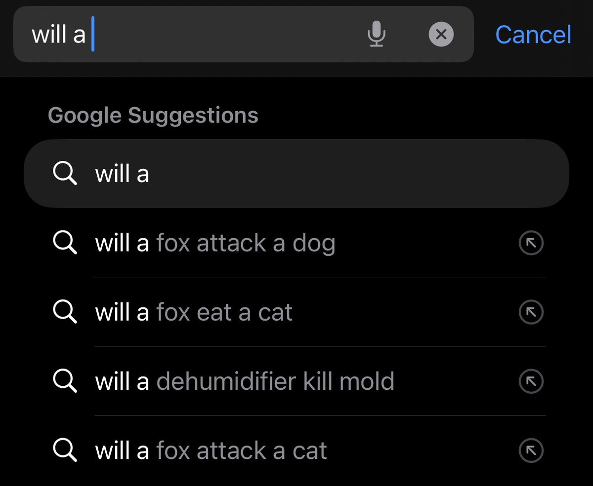TVachaW's tweet image. My partner and I both tried typing “will a ” (with a space after “a”) into Google.
Almost all the autocomplete suggestions were about whether foxes would eat or attack various other animals.
Is this the same for everyone or have we been profiled as a household with a particular…