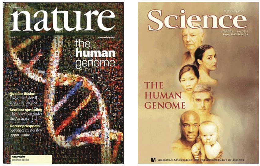 Abdullah_Med's tweet image. مشروع الجينوم البشري (Human Genome Project) بدأ سنة 1990 واكتمل في 2003 بقيادة Francis Collins في أمريكا وJohn Sulston في بريطانيا، وكان تعاون دولي ضخم بين أكثر من 20 مركز  رئيسي وعدة فرق حول العالم.

 استخدموا تقنية Sanger sequencing، ولهذا تم تقسيم الكروموسومات بين المختبرات…