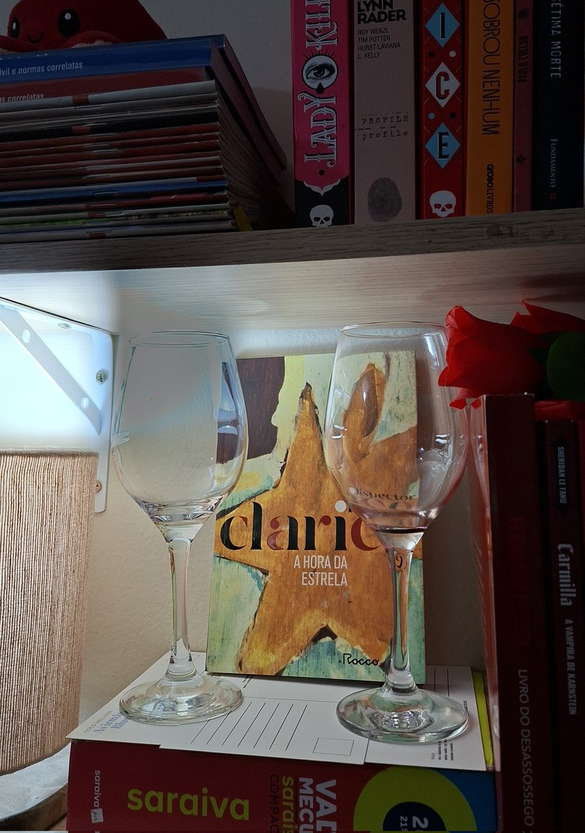 Mudei as coisas do quarto de lugar e agora parece que tenho um altar pra Clarice Lispector