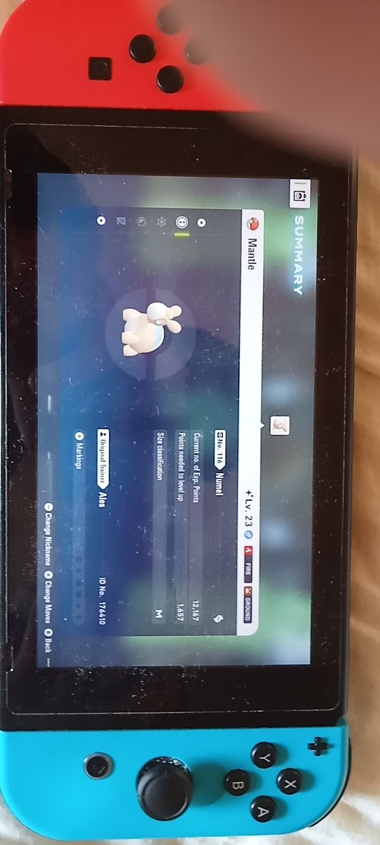 JustTepig's tweet photo. Full odds Shiny Numel. I heard the shiny sound nearby route 8 turned around and I found him,my son. #PokemonLegendZA #numel https://t.co/p1c8udLjba