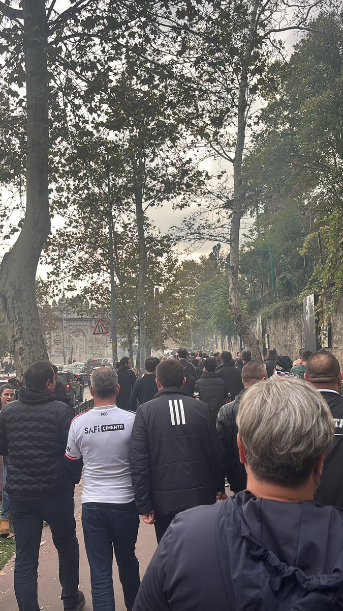 Ağaclı yolda yürümeyi özlemişim..