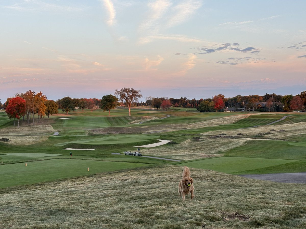 Anthony Schimento tweet media