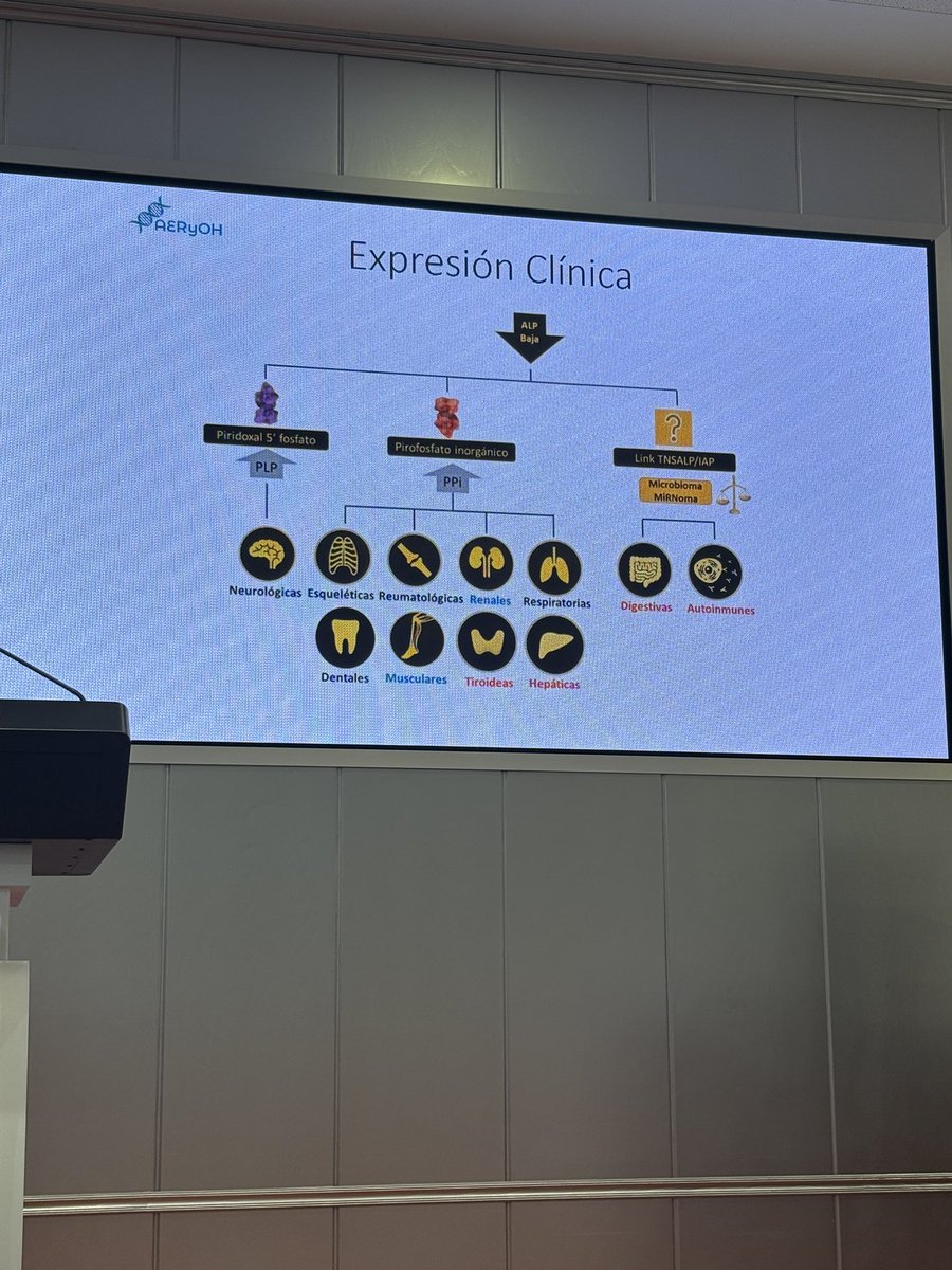 La doctora Beatriz García reconoce que “la bajada de fosfatasia alcalina tiene un efecto en la microbiota intestinal. Los pacientes de HPP tiene una microbiota diferente a la del resto. Estamos trabajando en diseñar probióticos específicos para atajar este problema” #raquitismos