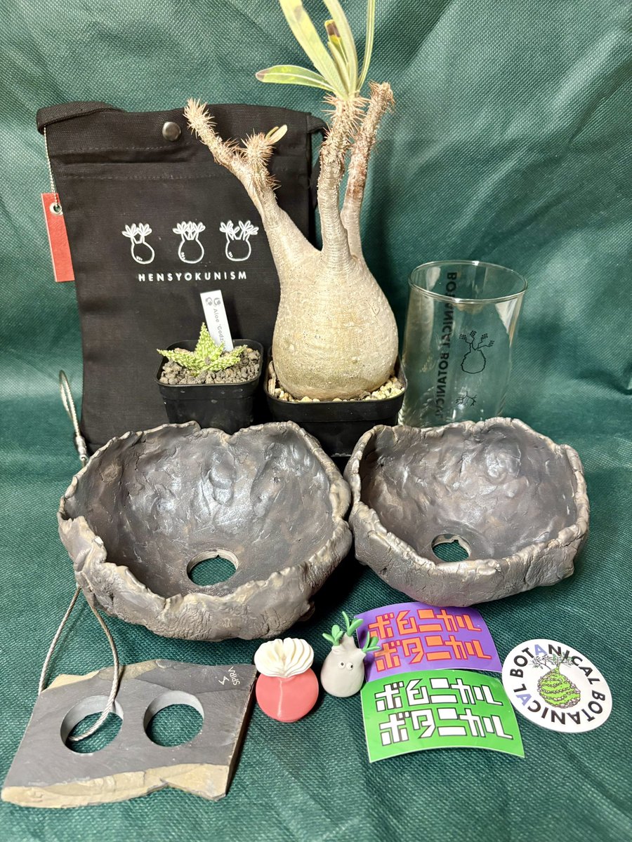 一枚岩のこんな珊瑚岩は２度と無いと思います！ 是非このチャンスにどうですか？ sddefault.jpg