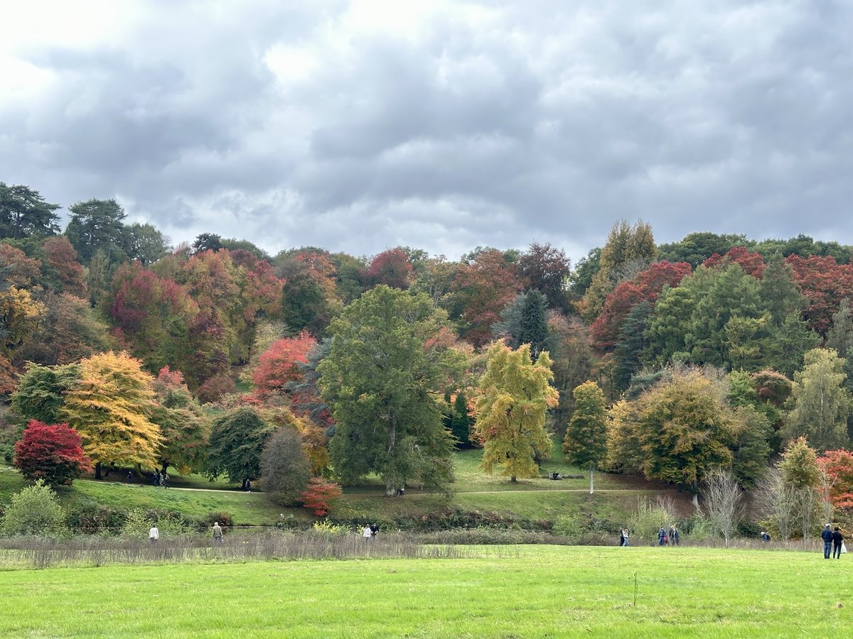 Carol Thomas tweet media