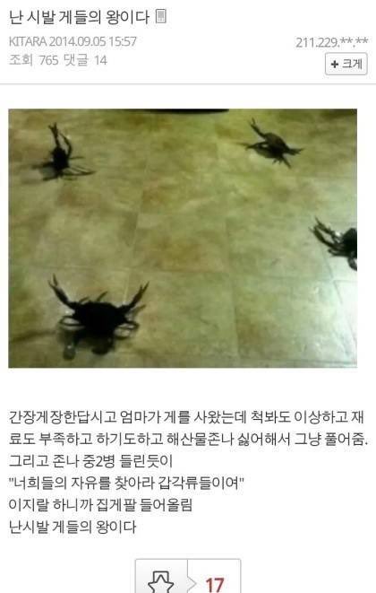 이거 하고싶음