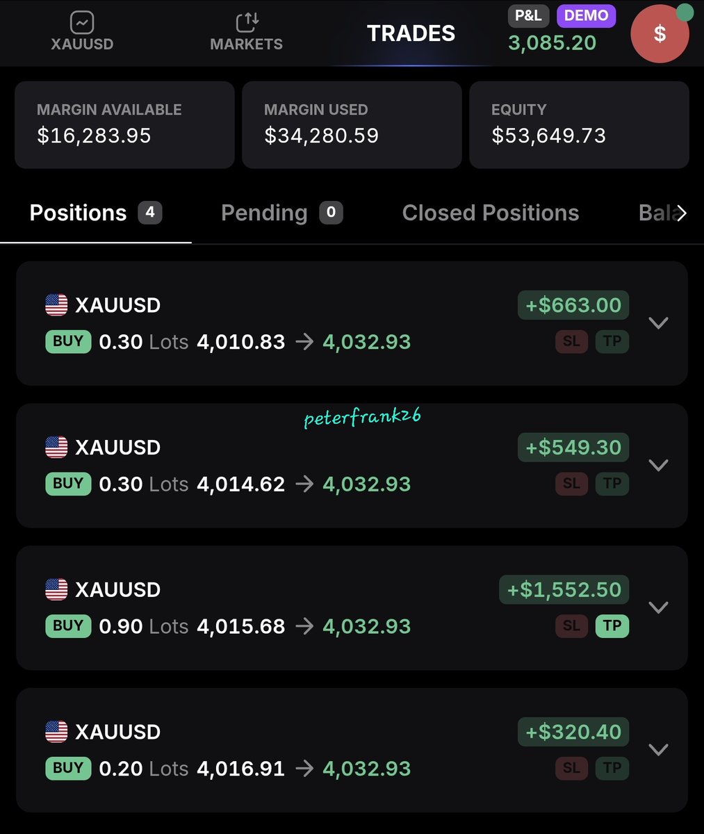 Peter Frank 🏴‍☠️ tweet media