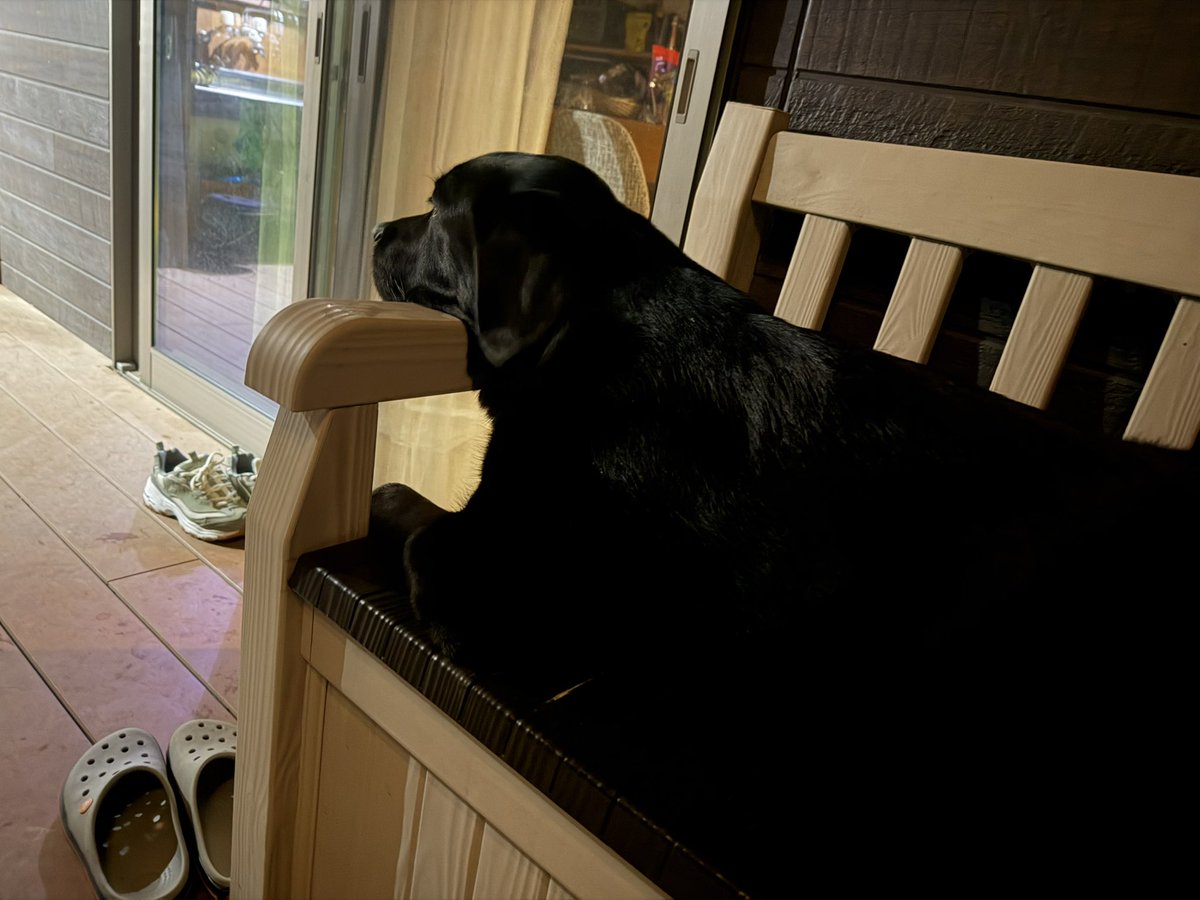 お風呂上がりの夜風タイムに付き合ってくれる犬、愛おしすぎるよ🥹🫶