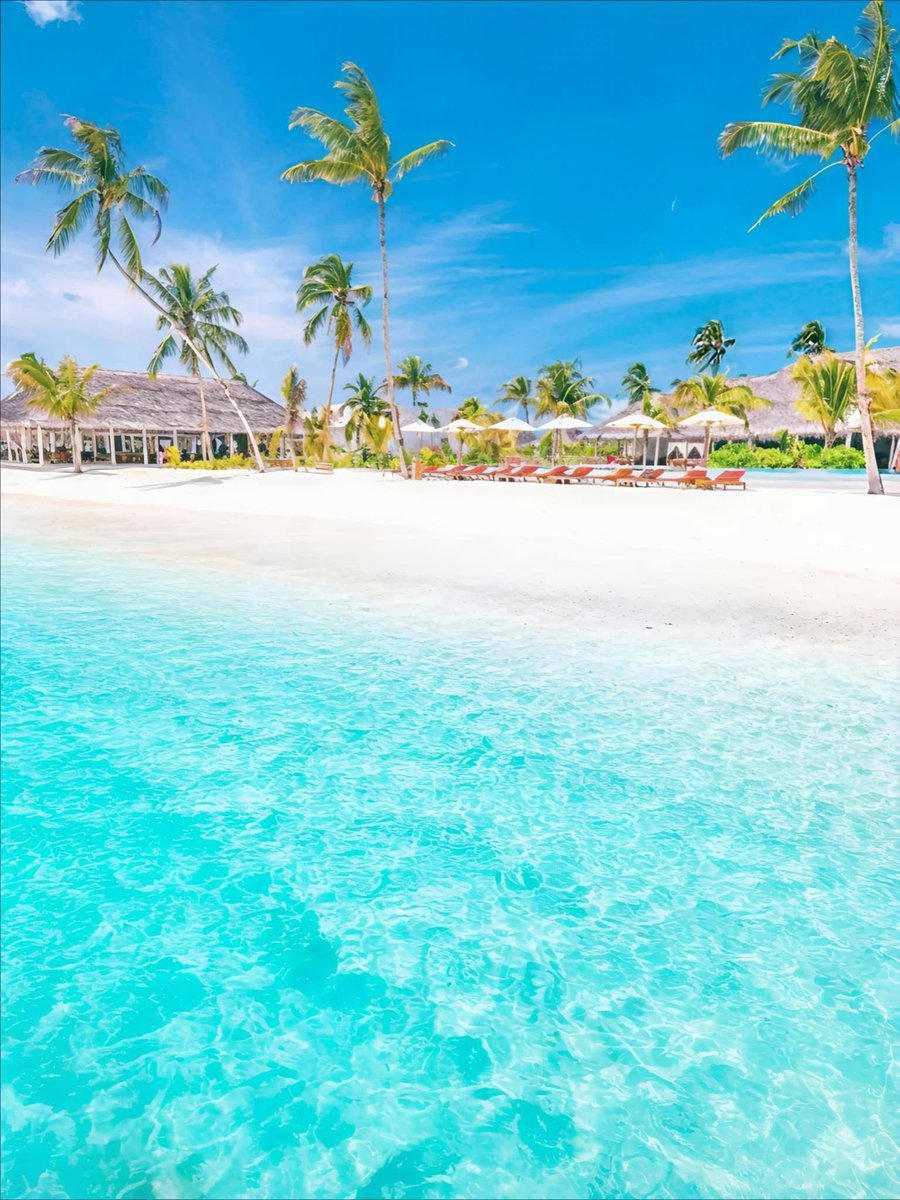 Mysterious Earth (@naturalble91542) on Twitter photo 