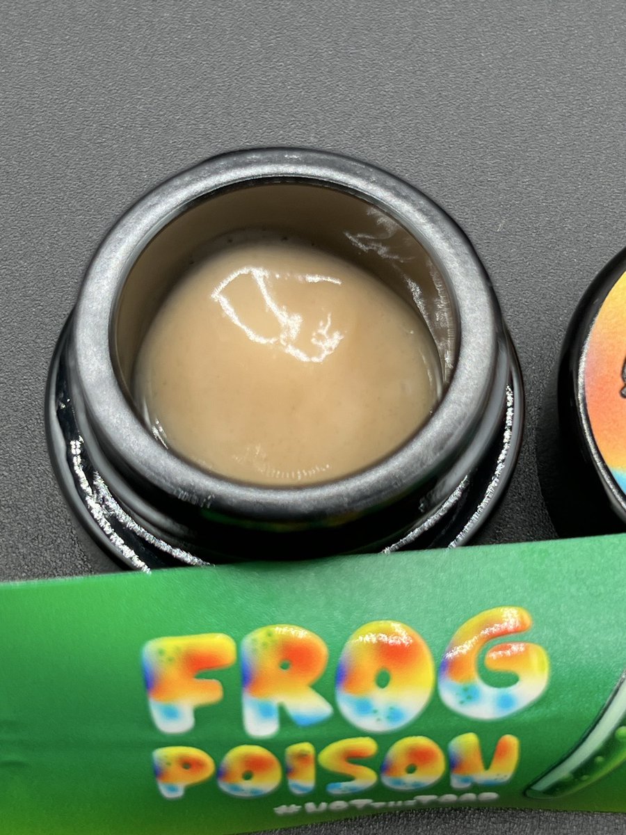 Terpslurpee710's tweet image. @TrillySinatra it’s a frog world we’re just living in it
