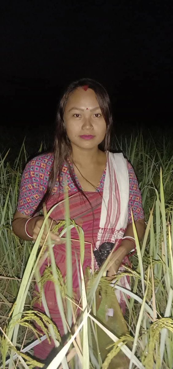 ranjanboro37's tweet photo. गासैनिसिमबो माइनाव फोर्बोनि गोसो गोर्बोजों हामब्लायनाय बाउहरबाय ।साफ्रोम‌ आबादारि बिथांमोननि सिमाङा जाफुंसारथों आरो साफ्रोमनिबो न'आ धोन आरो सम्पतजों आबुं जाथों । https://t.co/Qe8eRu0uI3