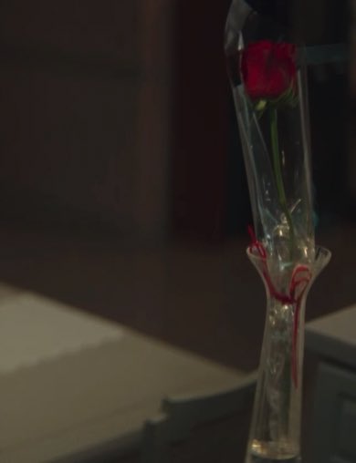 태풍이 흘리고 간 코스모스 한 송이를 주운 오미선
미선이 준 생일 선물인 장미 한 송이를 받은 강태풍

태풍미선 둘이 꽃 한 송이 일지라도
소중하게 꽃병에다 꽂아두는 거 ㄴㅁ 좋음..🌸🌹